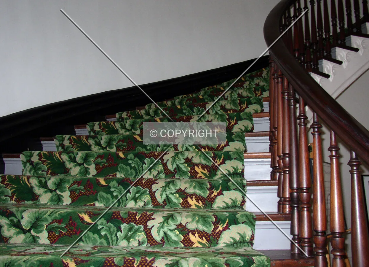 Detail of the staircase at the main entrance