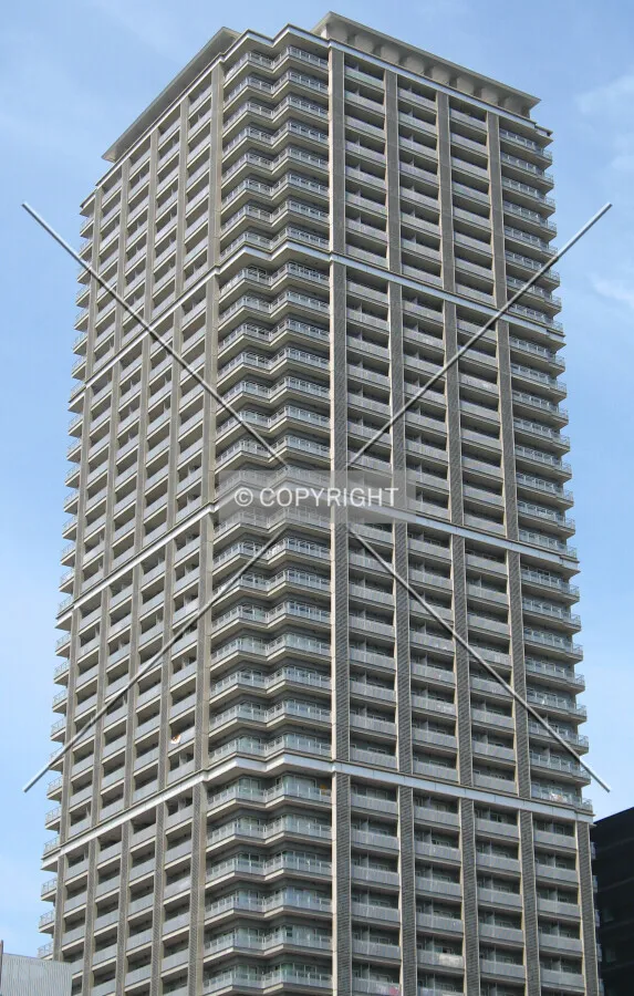 View from the southeast