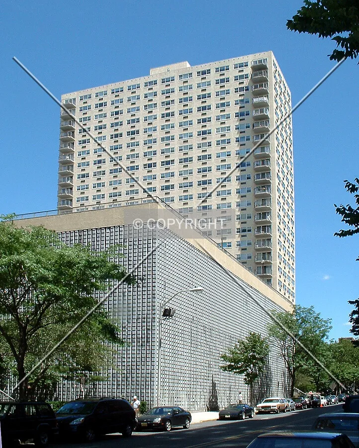 View from the south