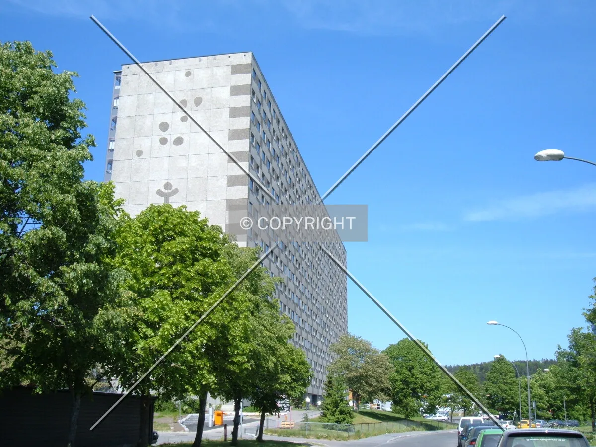 View from the south