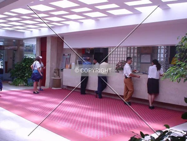 Photo 085-319-794