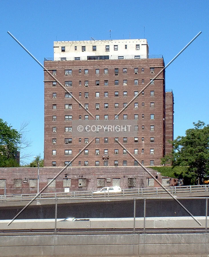 View from the east