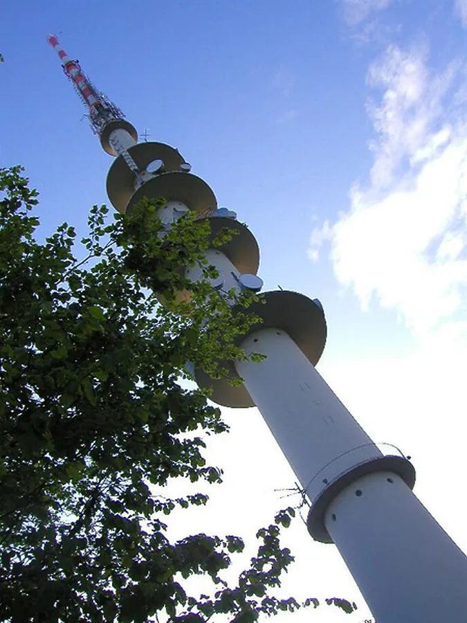 View to the top