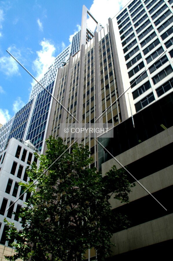 Looking up from Pitt Street