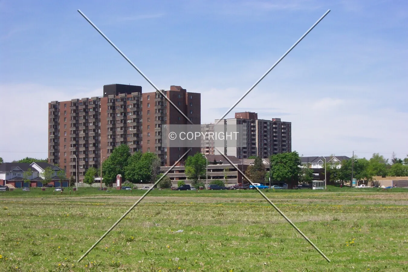 View from McCooey Drive in the Central Experimental Farm