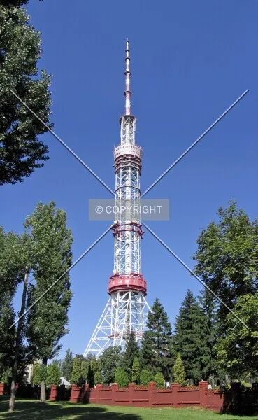 Photo 085-561-998