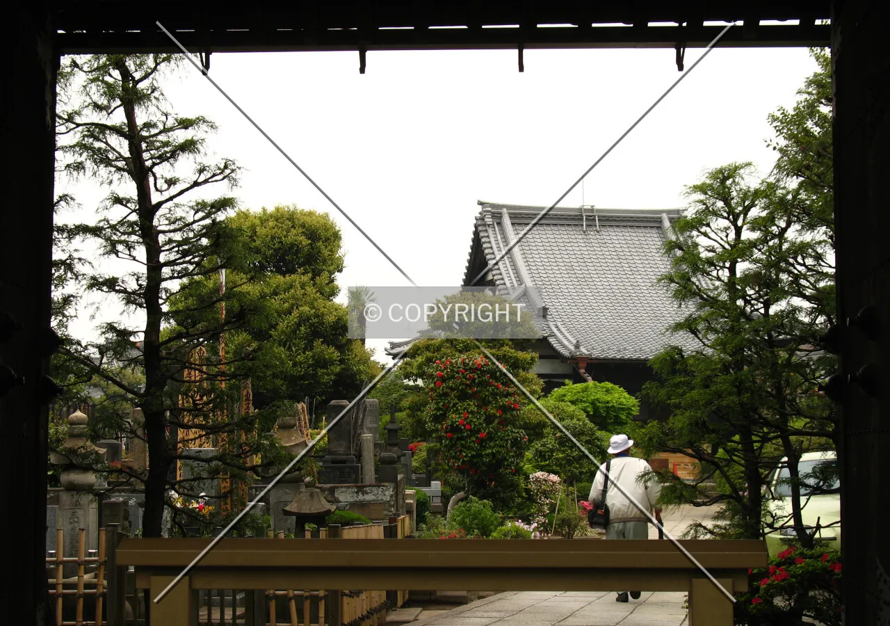 The main hall seen through the Sanmon Gate