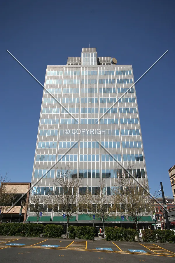 Looking up the southern facade