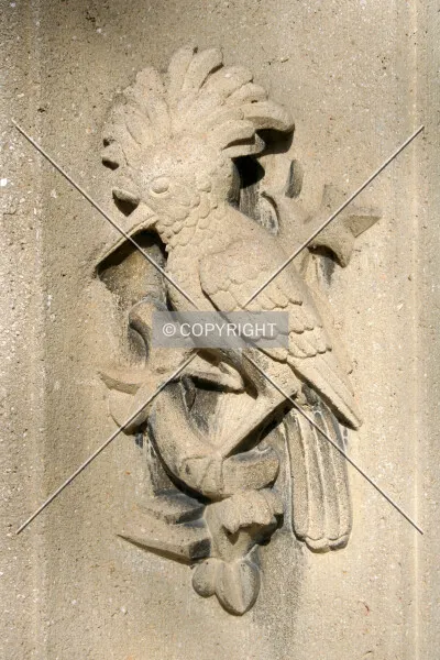 Photo 085-617-913