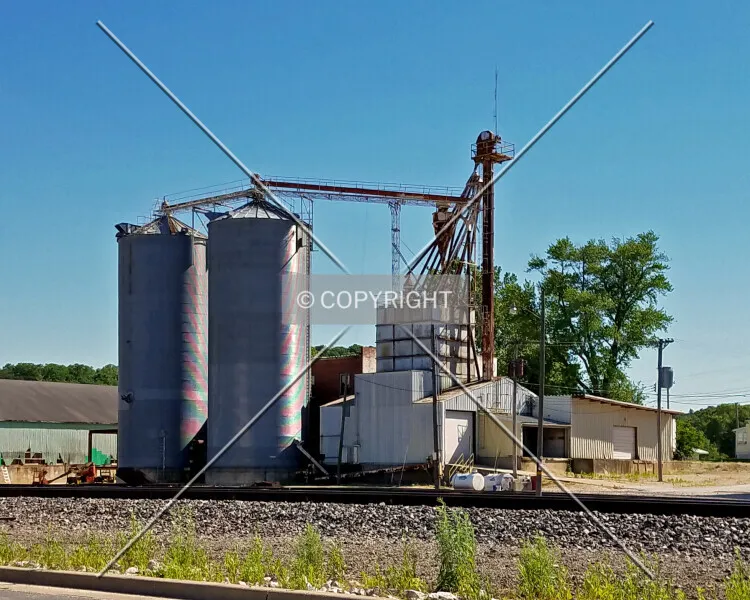 Photo 085-802-618