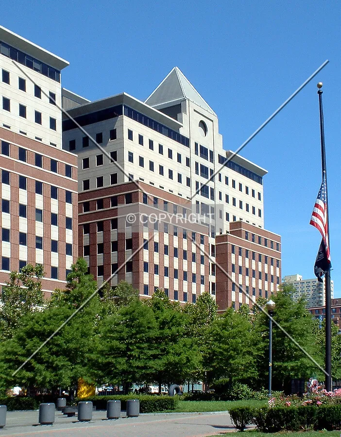 View from the south