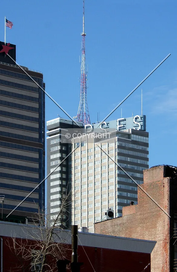 View from the northeast