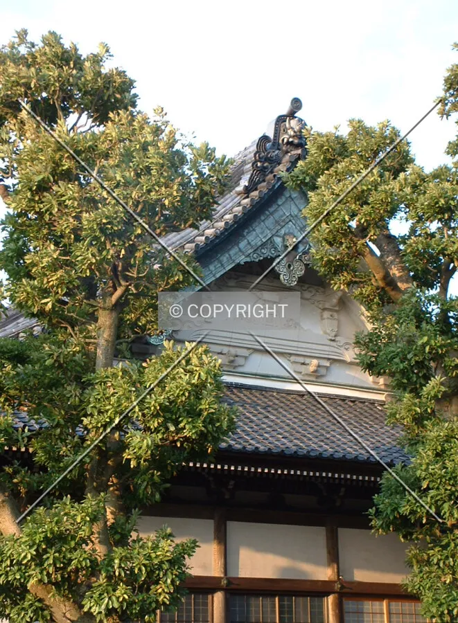 Roof detail
