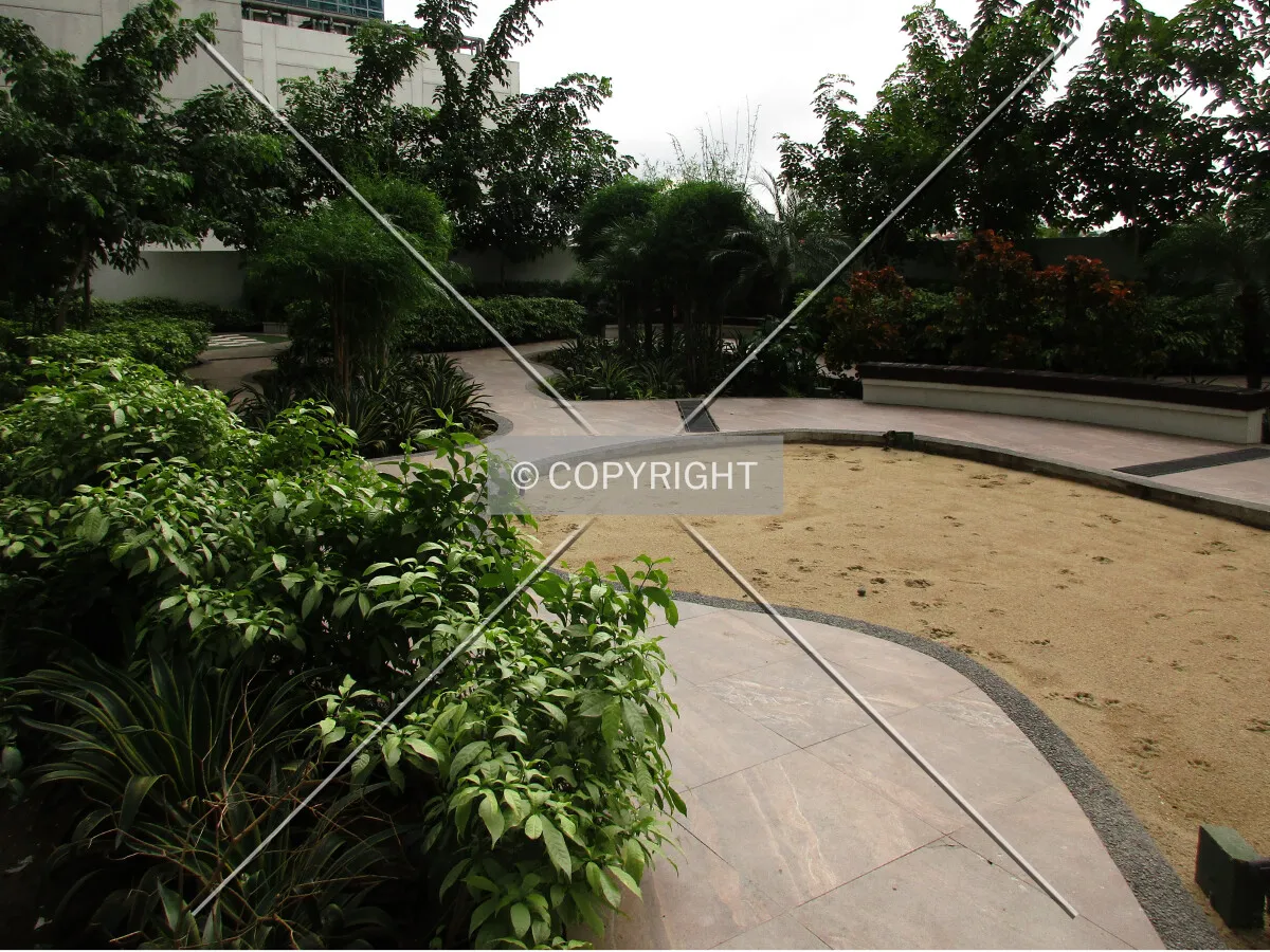 Dog play area on the 7th floor north terrace