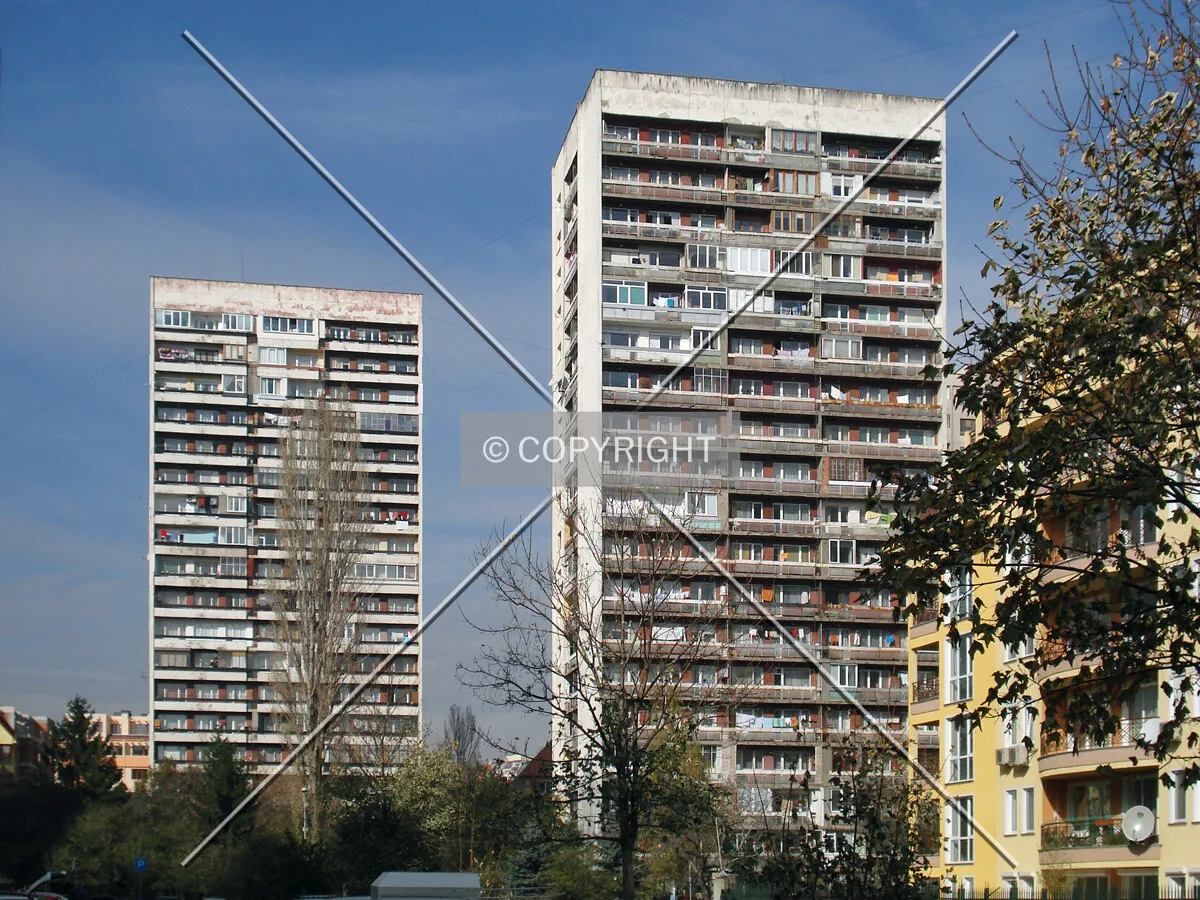 Borovo district