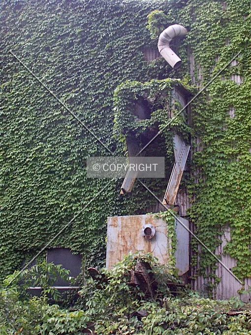 Photo 862-144-529