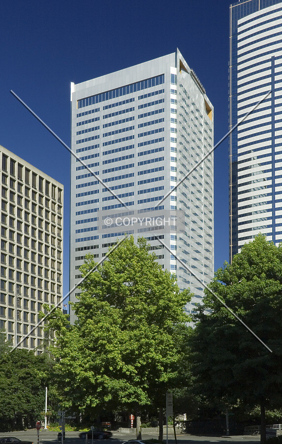 View from the south