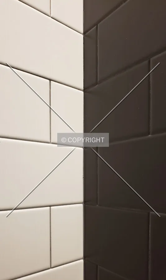 Contrast of black and white tiles in the men's restroom; February 21, 2019