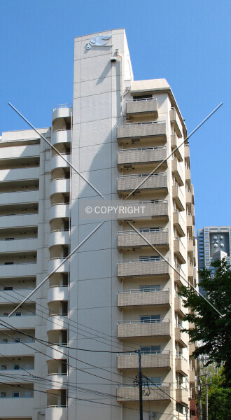 Photo 086-397-107