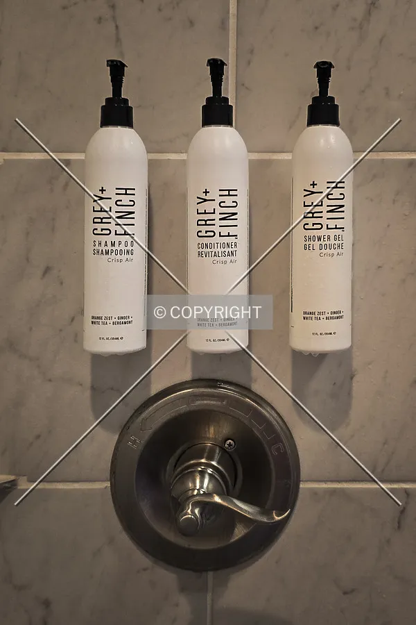 Guest room shower; March 29, 2025