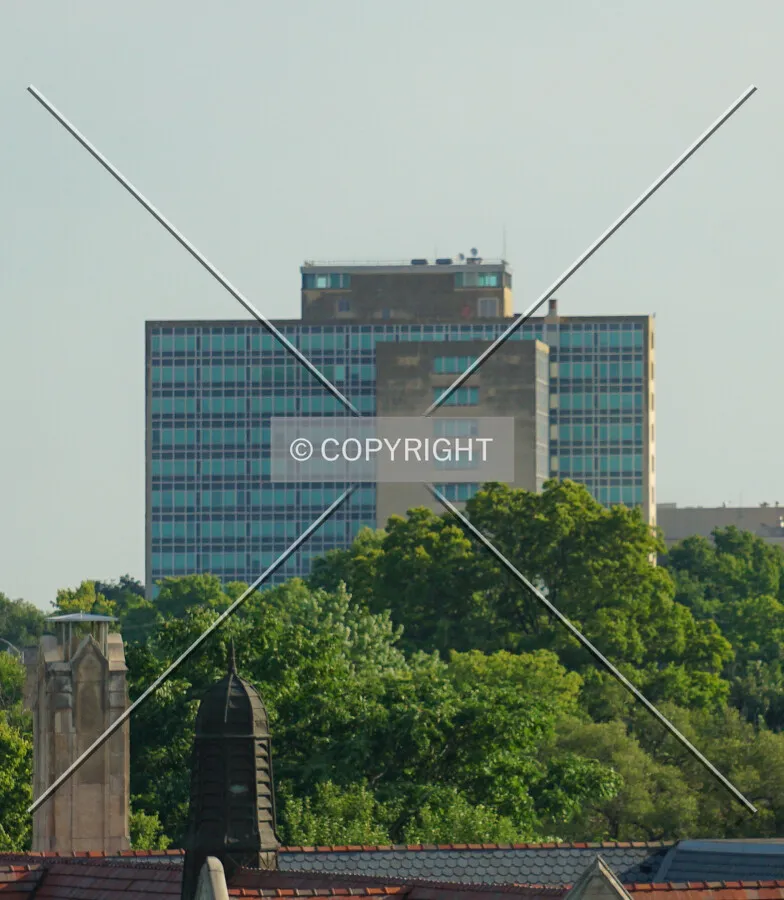 Distant view from the south; July 25, 2020