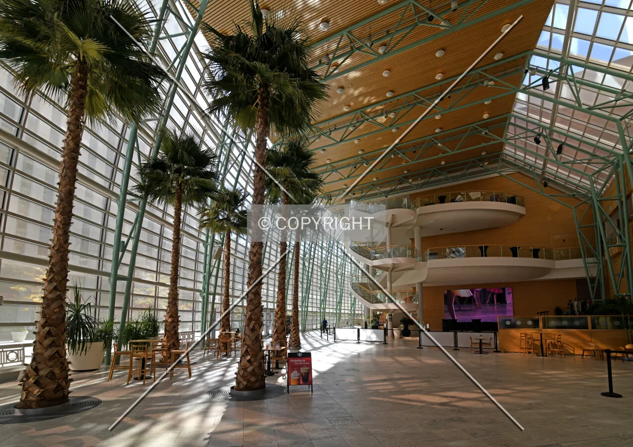 Lobby from the east
