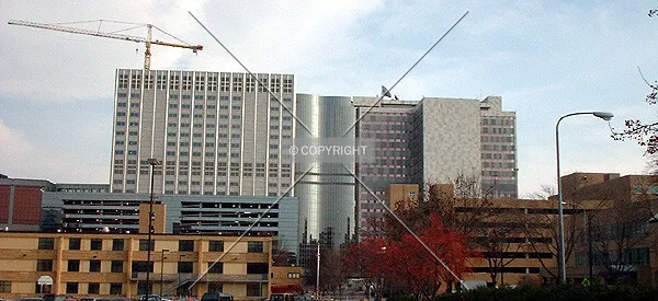 View to the east, Gonda Building on left, Mayo Building on right