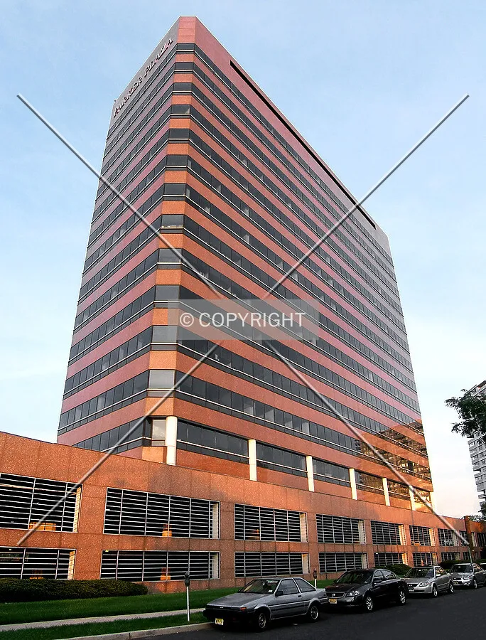 View from the southwest across Lewis Street