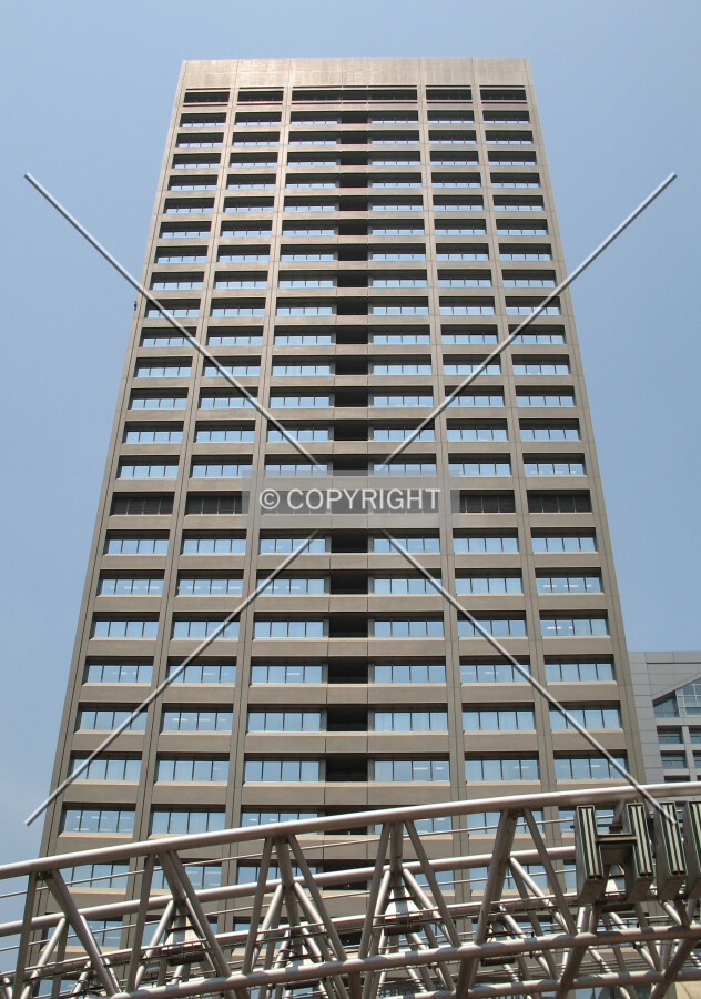 View from the east