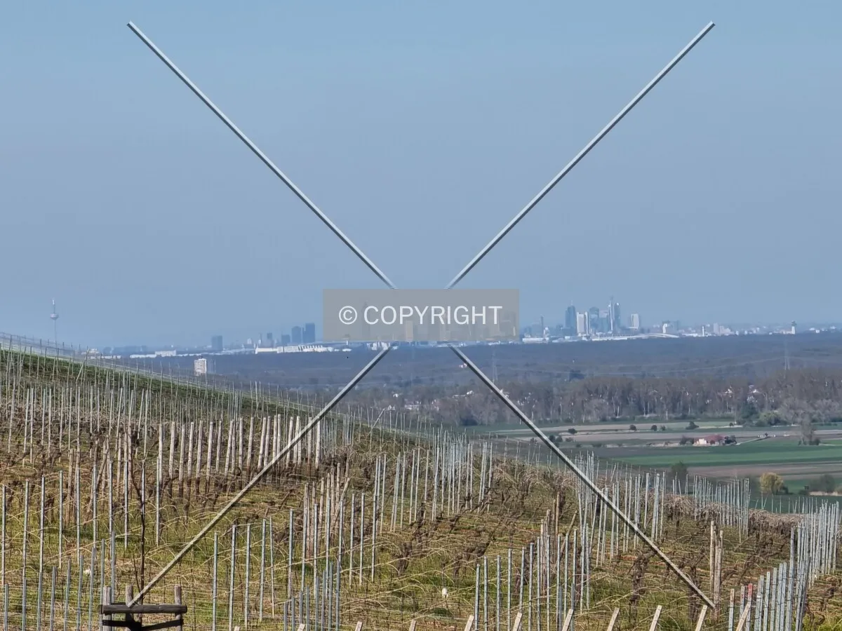 Photo 086-782-644