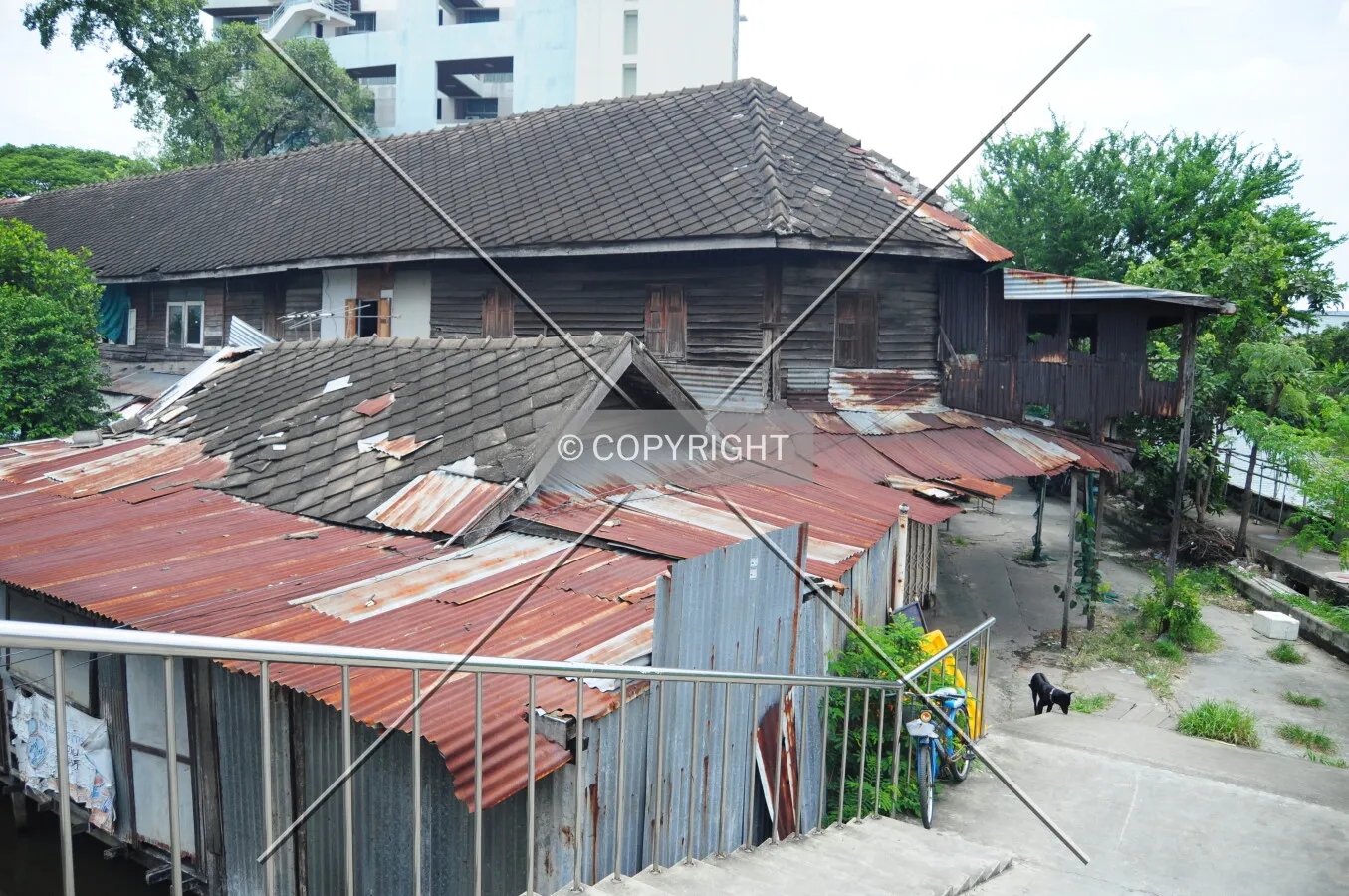 Photo 086-786-259
