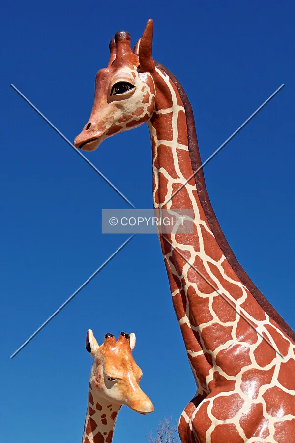 Giraffe sculptures