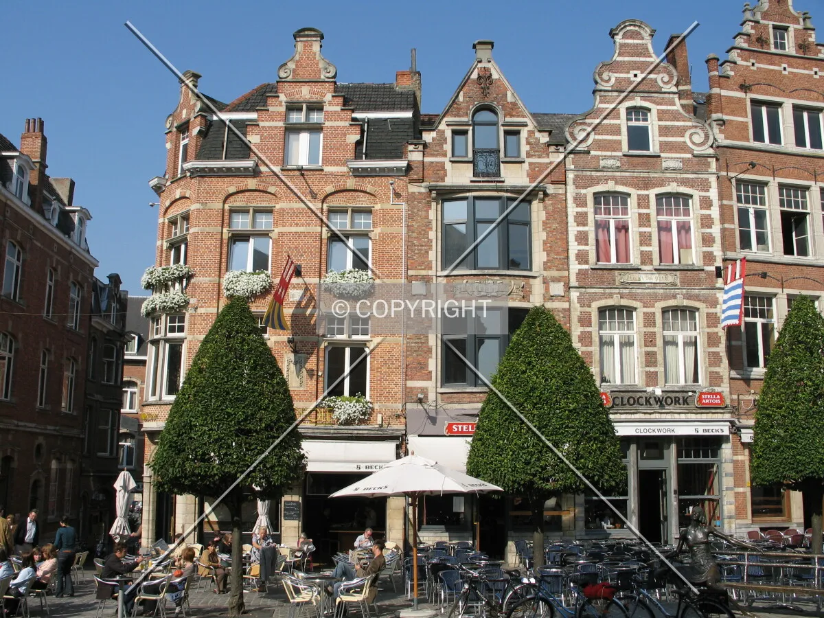 Typical houses on the Oude Markt
