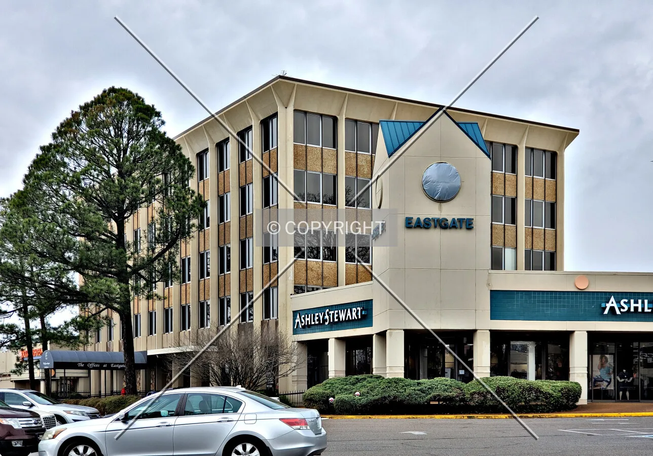 Southeast view; March 18, 2020