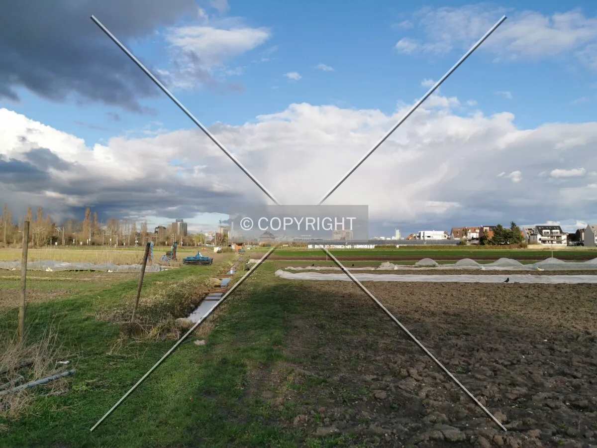 Fields in Frankfurt-Oberrad