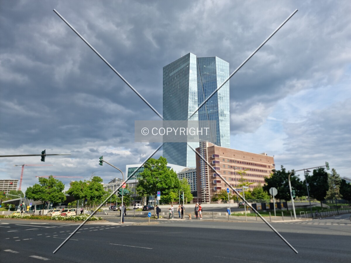 Photo 869-762-661