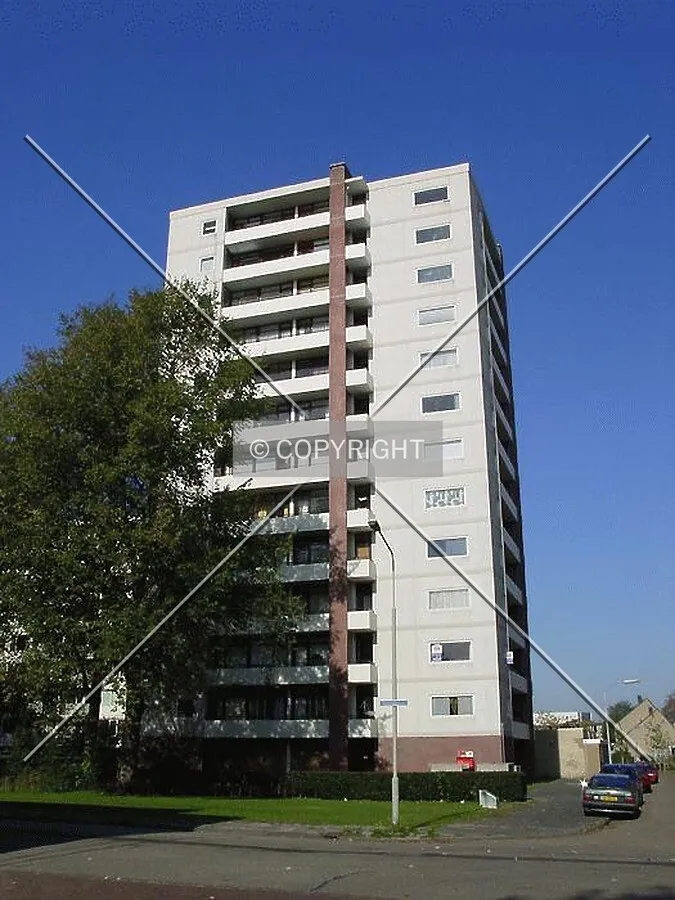View from Nederlandlaan