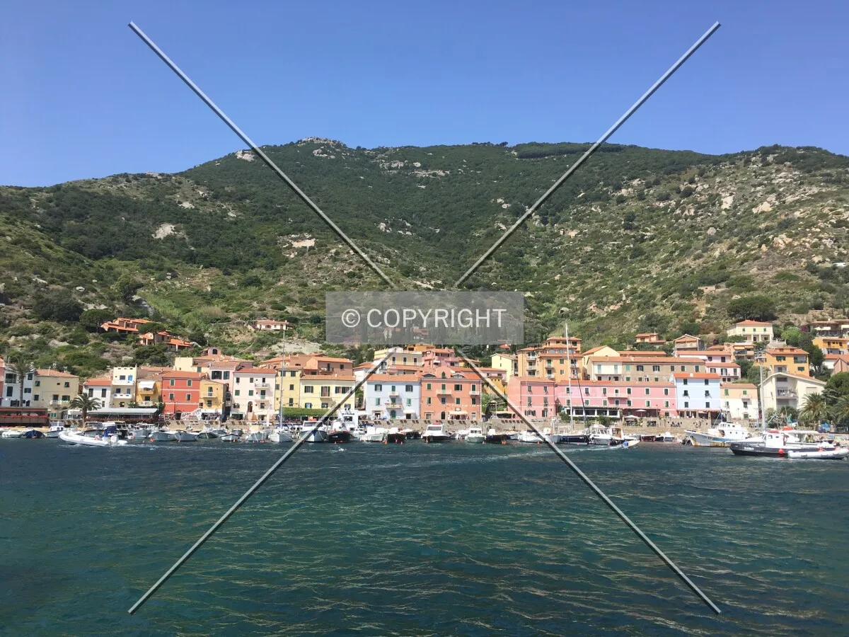Photo 087-011-561