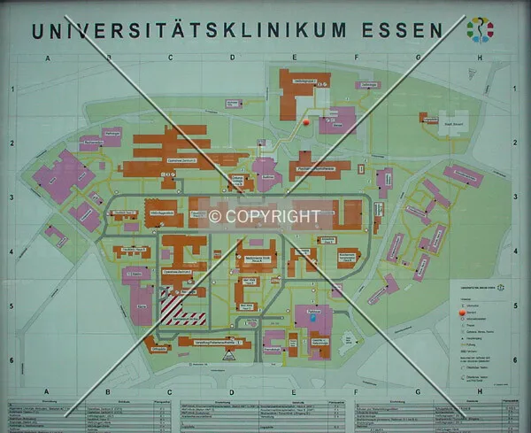 Overview of the project