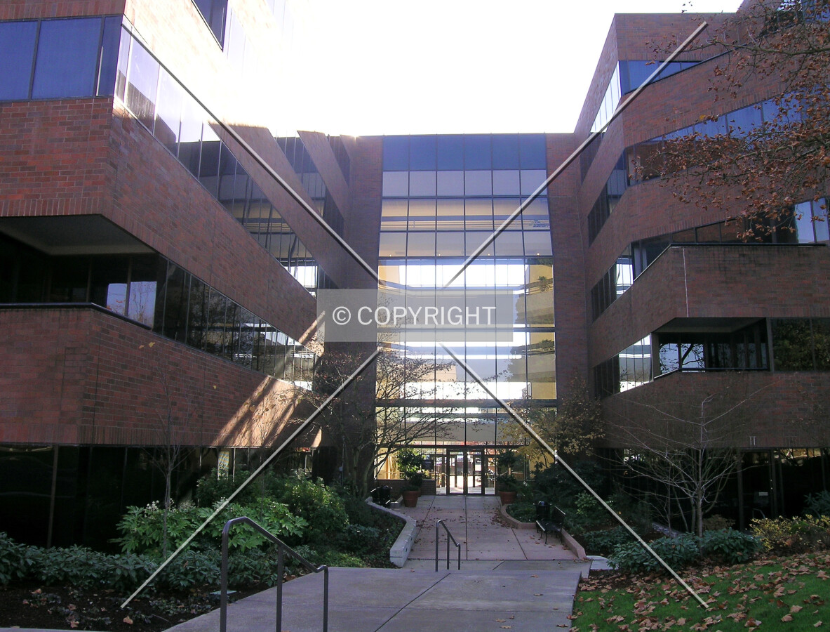 Main Entrance area