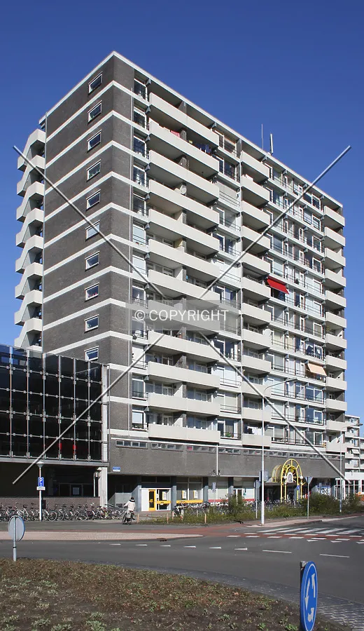 View from the southeast