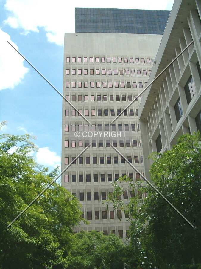 View from Camp Street looking north