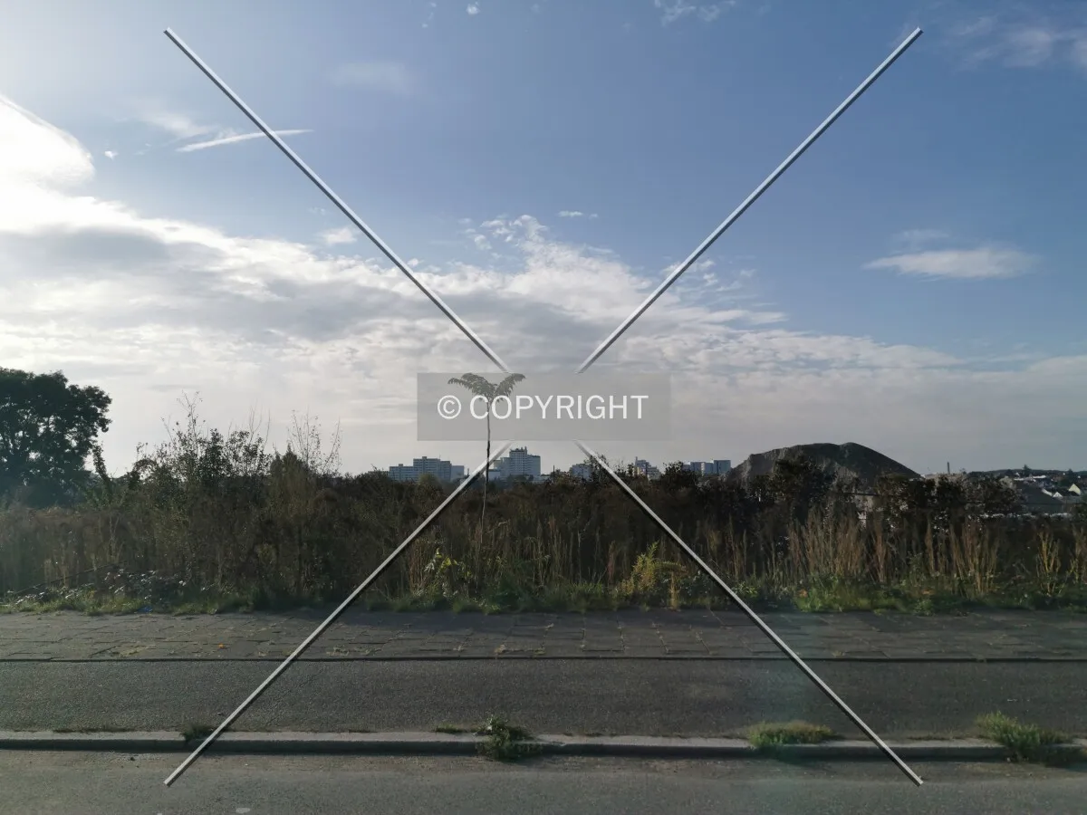 Photo 874-107-964