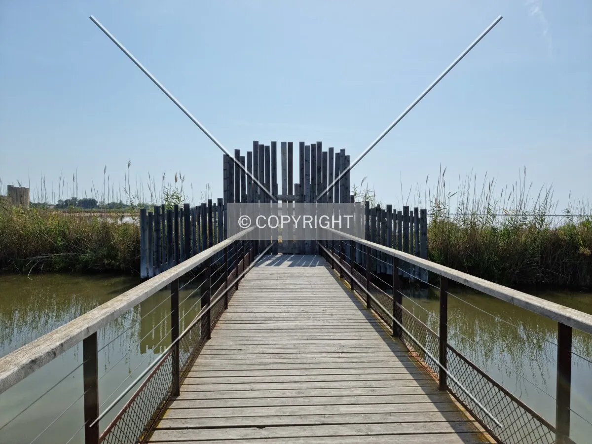 Photo 874-262-115