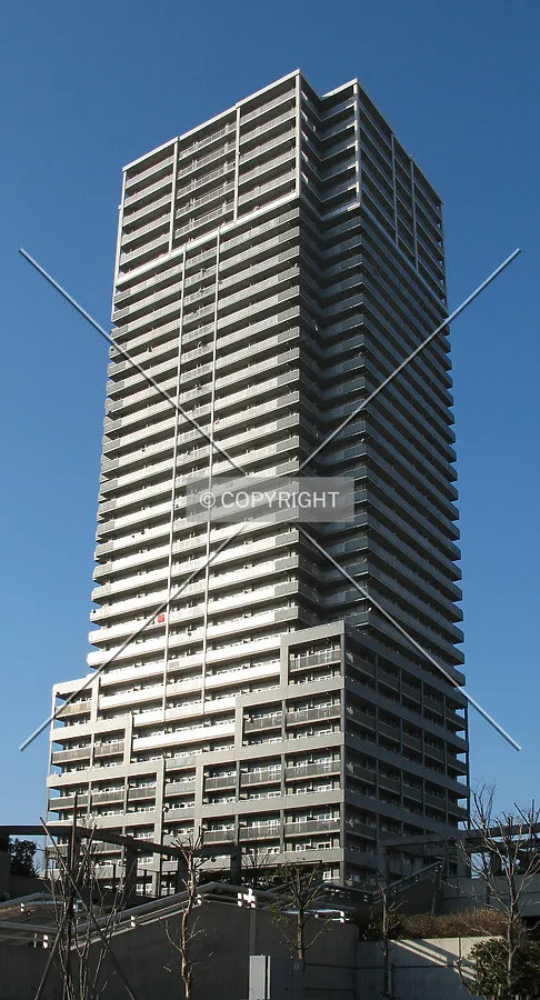 View from the southeast