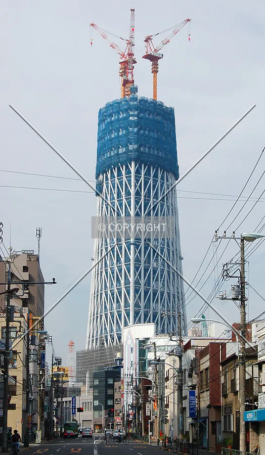 View from the east
