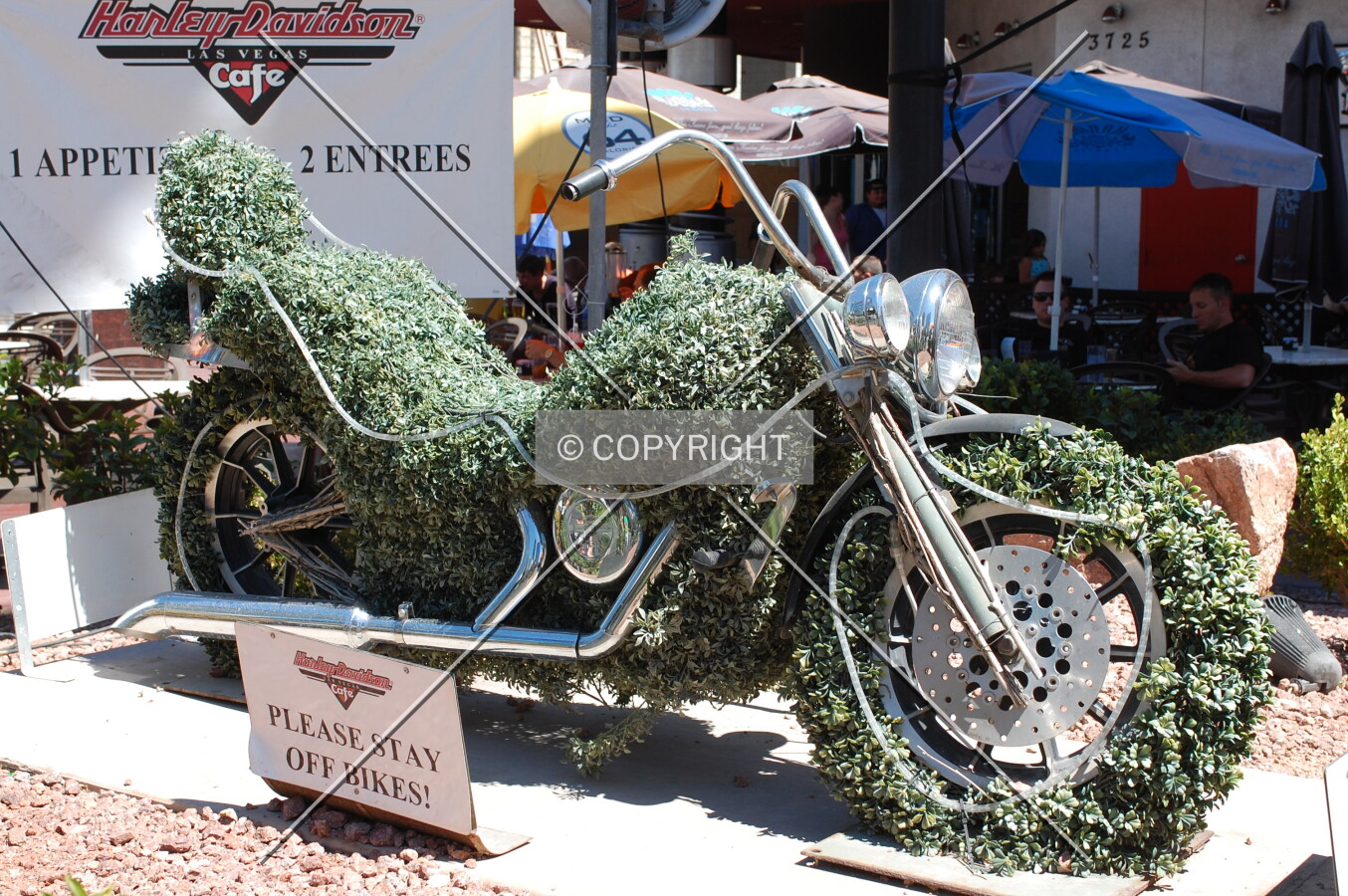 Motorcycle sculpted in shrubbery
