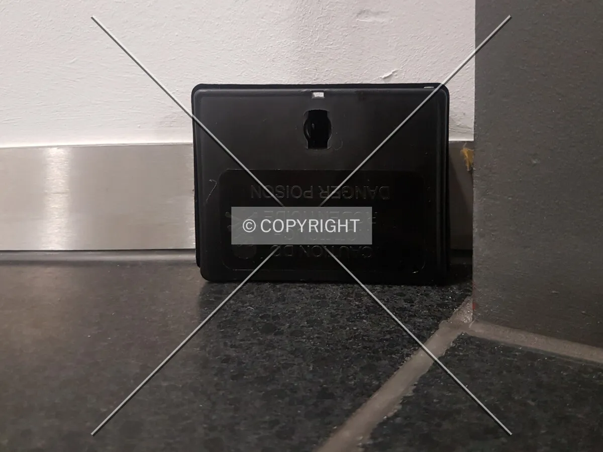 A trap to catch mice