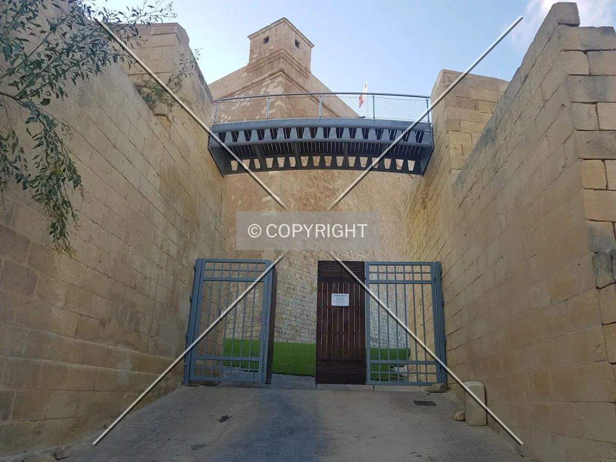 Photo 087-584-626