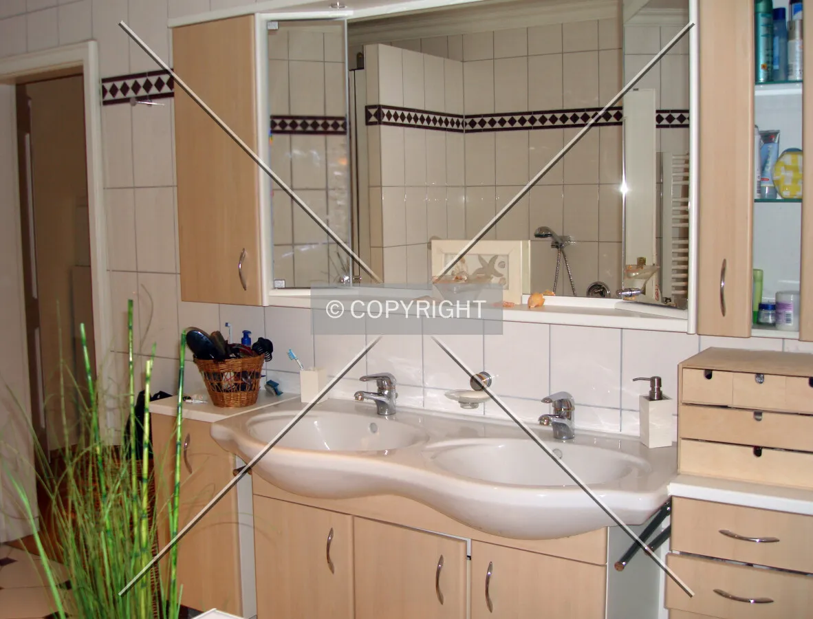 Luxury bath room including two wash-bowls
